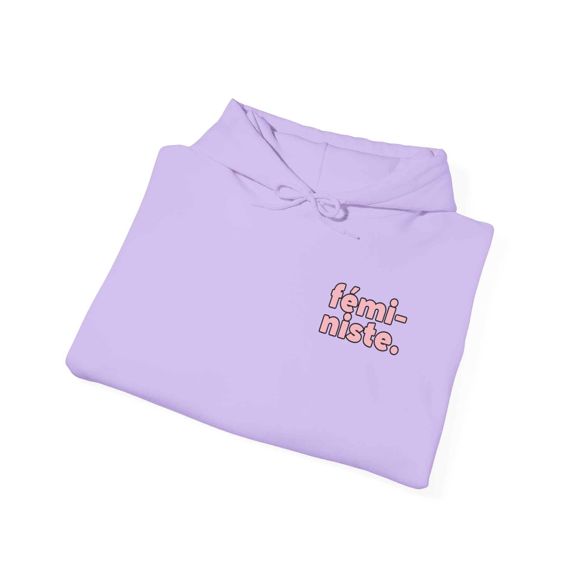 Feministe Feminist Hooded Sweatshirt - Shophippiesonly