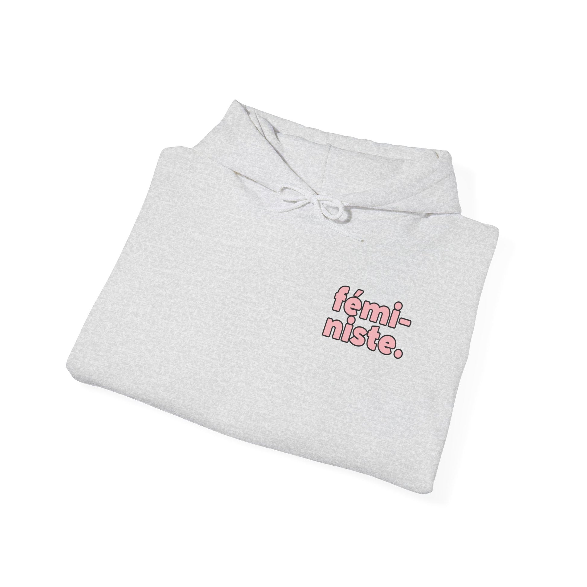 Feministe Feminist Hooded Sweatshirt - Shophippiesonly