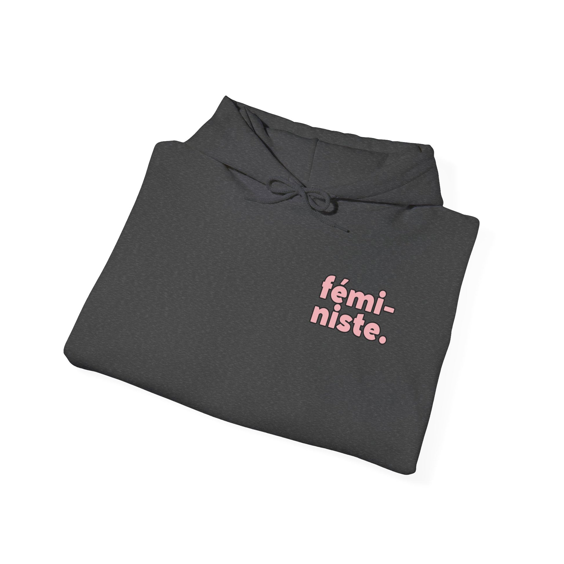 Feministe Feminist Hooded Sweatshirt - Shophippiesonly